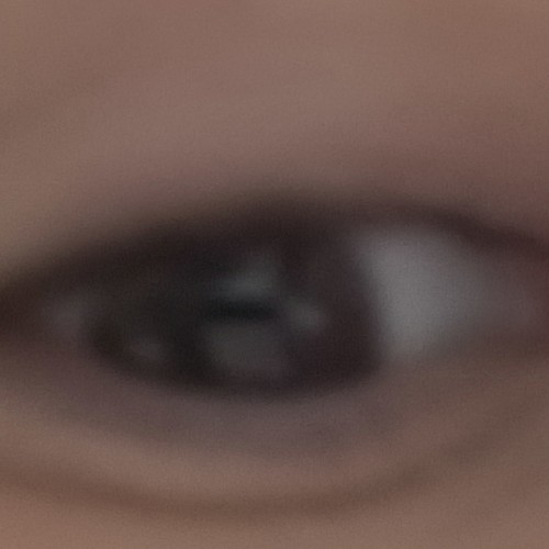 Mitglied