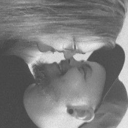 Mitglied